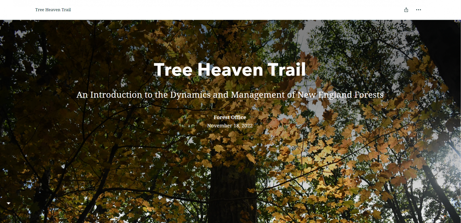 Tree Heaven Trail