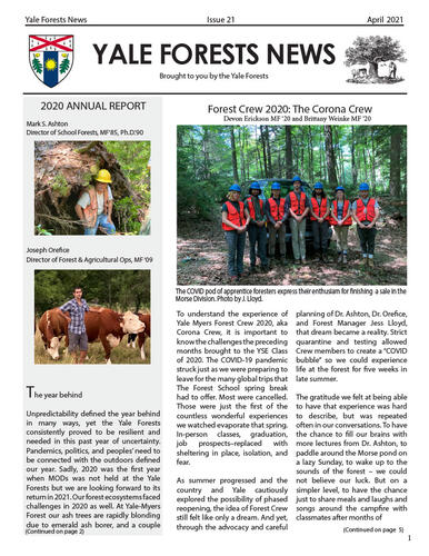 Yale Forests 2020 Newsletter cover